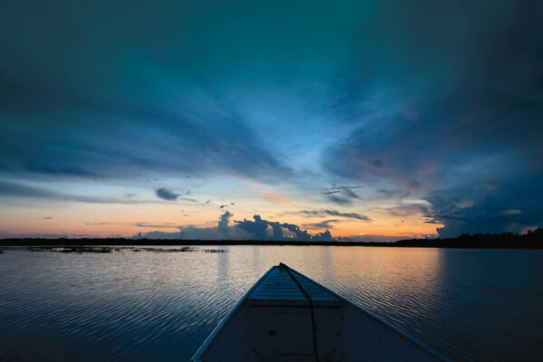 View from a tributary of the Amazon River near the city of Tefé in the Amazonas
region of Brazil. Credit: Victor L Caetano Andrade
